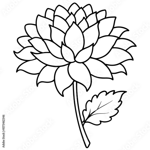 Chrysanthemum Flower Vector Art.