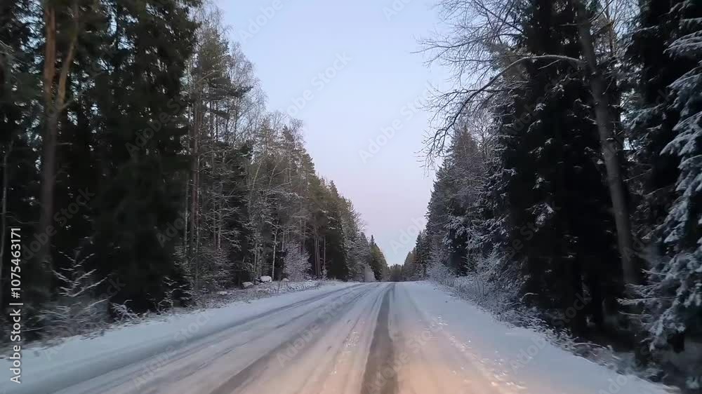 View from car on mounted camera on front glass. Ecological theme countryside forest road in winter, snowy weather. Car driving along the snowy road. Winter sunny day, fir treed across the road View from car on mounted camera on front glass. Ecological theme countryside forest road in winter, snowy weather. Car driving along the snowy road. Winter sunny day, fir treed across the road