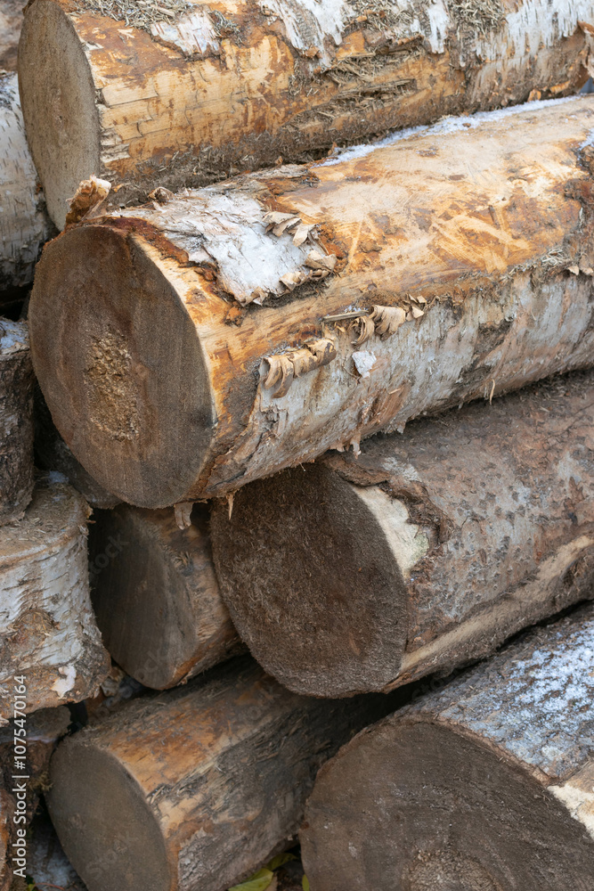 Stack of Freshly Cut Birch Logs Ready for Processing in Forestry Industry Stack of Freshly Cut Birch Logs Ready for Processing in Forestry Industry