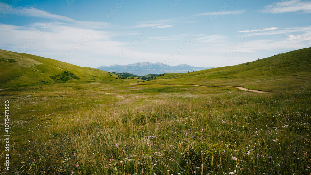 An open landscape of lush hills and a winding path cutting through tall grass, framed by distant mountains, perfect for outdoor enthusiasts. An open landscape of lush hills and a winding path cutting through tall grass, framed by distant mountains, perfect for outdoor enthusiasts.