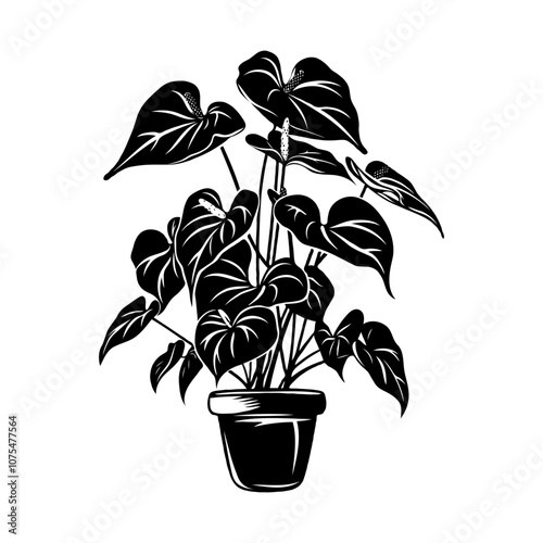 A detailed illustration of an Anthurium plant with broad leaves in a pot, on a plain background