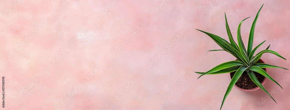 A vibrant spider plant in a pot enhances a trendy sideboard against a soft pastel background, creating a serene and modern interior space