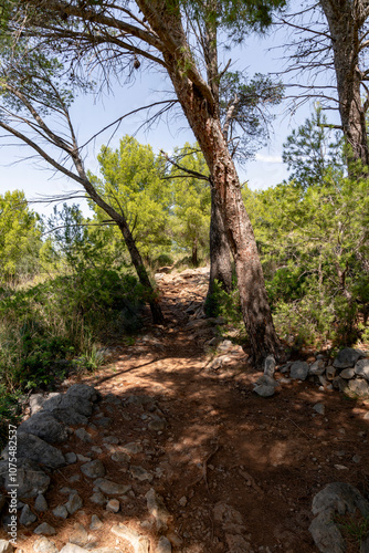 Wallpaper Mural Wandern auf dem GR 221 um Port de Soller Torontodigital.ca