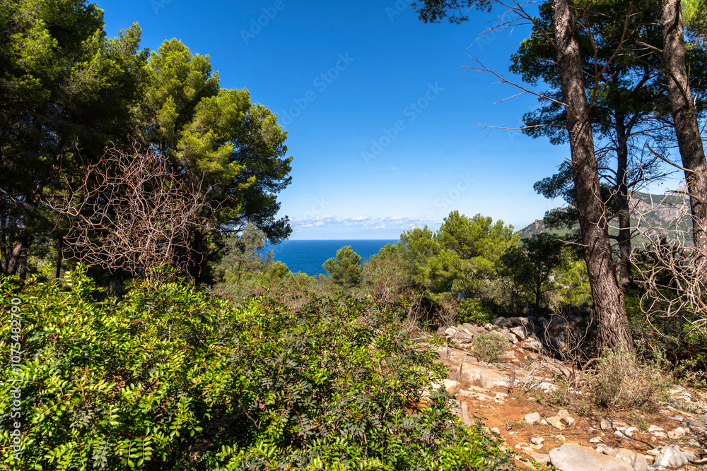 Wandern auf dem GR 221 um Port de Soller Wandern auf dem GR 221 um Port de Soller