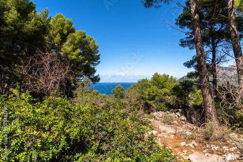Wallpaper Mural Wandern auf dem GR 221 um Port de Soller Torontodigital.ca