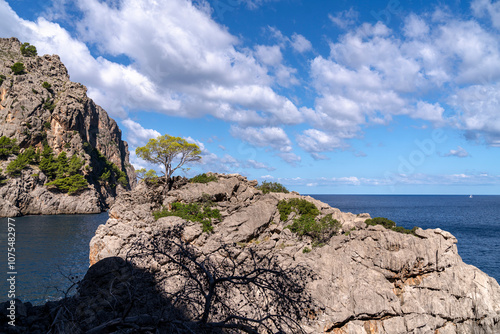 Wallpaper Mural Die Bucht und das Flussbett bei Sa Calobra Torontodigital.ca