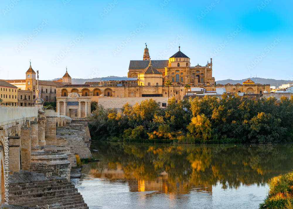 Fototapeta premium Panoramic view of Cordoba at sunset,