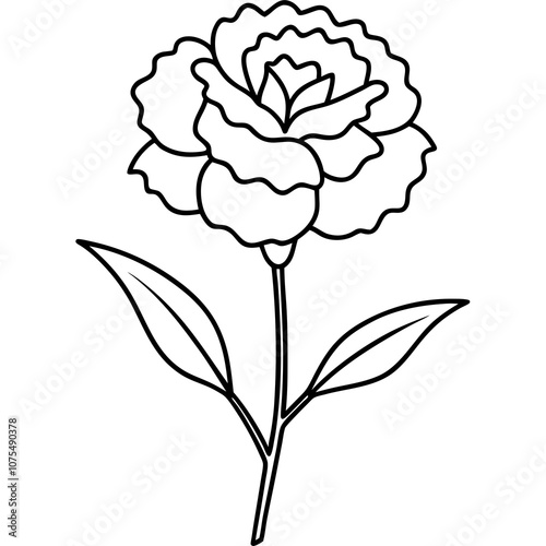 Carnation Flower Vector Art.