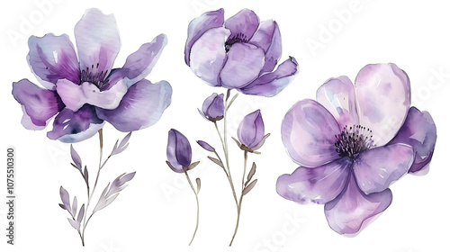 
Variation
31w


Hand painted watercolor purple flower set nature on white background. Watercolor artwork illustration for Valentine day, Mother day, wedding, save date card, birthday or annivers
