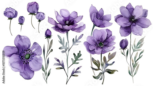 
Variation
31w


Hand painted watercolor purple flower set nature on white background. Watercolor artwork illustration for Valentine day, Mother day, wedding, save date card, birthday or annivers photo