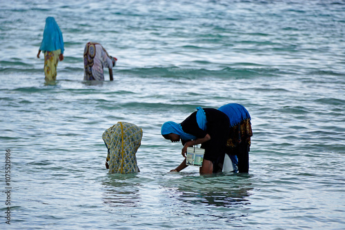 Nungwi, Zanzibar - October 2024: Woman collecting seafood from the ocean photo