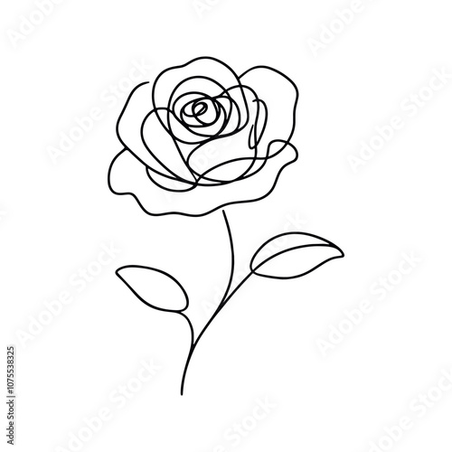 Roses, continuous one line sketch. Line art flower. Hand drawn vector art