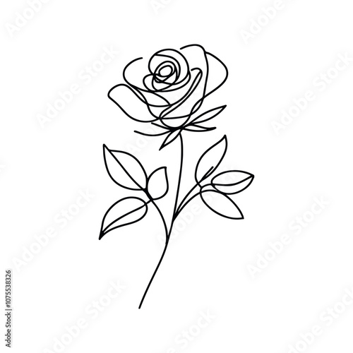 Roses, continuous one line sketch. Line art flower. Hand drawn vector art