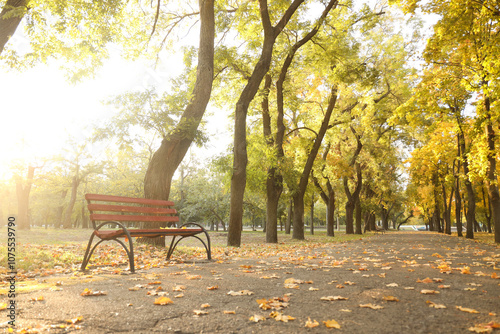Bench with fall leaves on s...