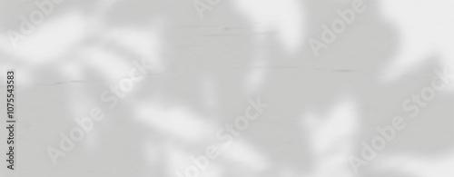 Glare from the sun's rays on the wall. Blurred shadows from leaves and plants in the room. Soft overlay of natural light. Abstract background for product presentation.Natural light layout.