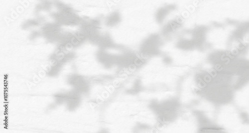 Glare from the sun's rays on the wall. Blurred shadows from leaves and plants in the room. Soft overlay of natural light. Abstract background for product presentation.Natural light layout.