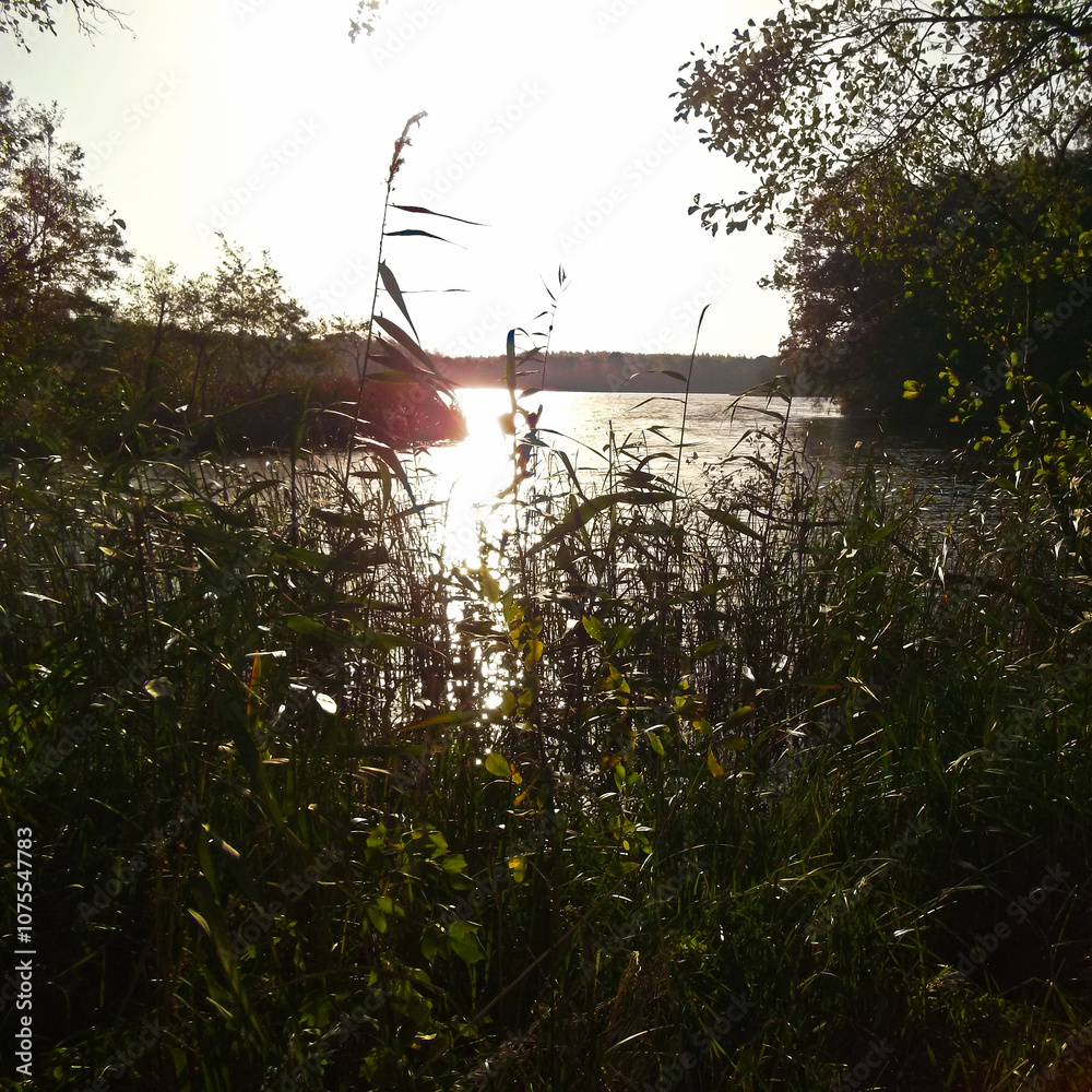 Sonnenaufgang über den Bruchsee im Herbst