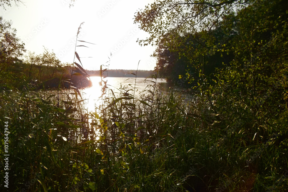 Sonnenaufgang über den Bruchsee im Herbst