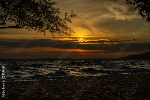 moments to Enjoy in Solitude