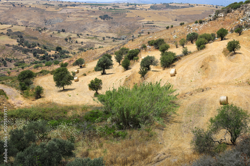 Hügelige trockene bergige Landschaft mit Bäumen und Büschen auf trockenem Grasboden Hügelige trockene bergige Landschaft mit Bäumen und Büschen auf trockenem Grasboden