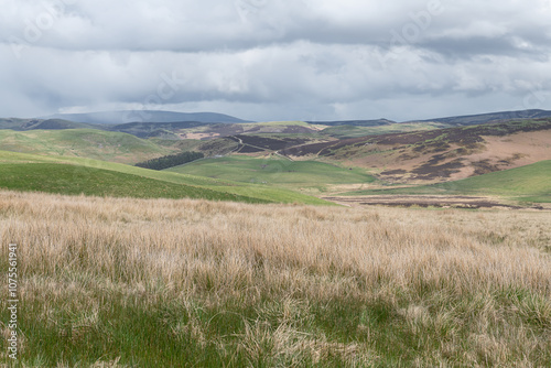 Farmland in the Cheviot Hills in the Scottish Borders. photo