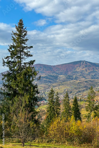 Late autumn in Carpathians mountains, Slavske, Ukraine 