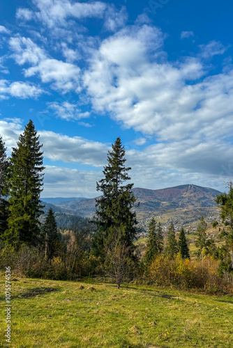 Late autumn in Carpathians mountains, Slavske, Ukraine 