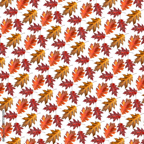 Pattern of oak leaves on a light background.