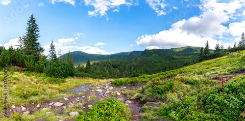 Panorama of mountain peaks. Carpathian Mountains of Ukraine.