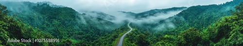 Aerial view of a winding road through lush green hills in misty weather