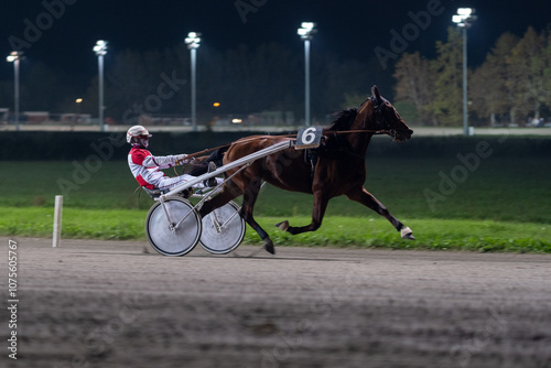 Racing horses trots and rider on a track of stadium. Competitions for trotting horse racing. Horses compete in harness racing. Horse runing at the track with rider.
