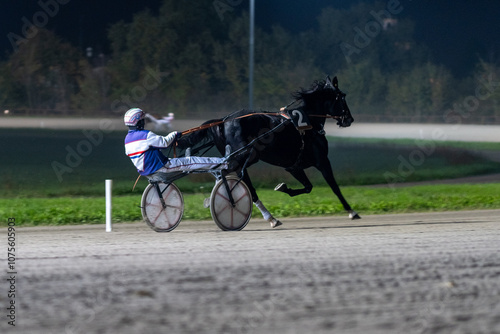 Racing horses trots and rider on a track of stadium. Competitions for trotting horse racing. Horses compete in harness racing. Horse runing at the track with rider. 