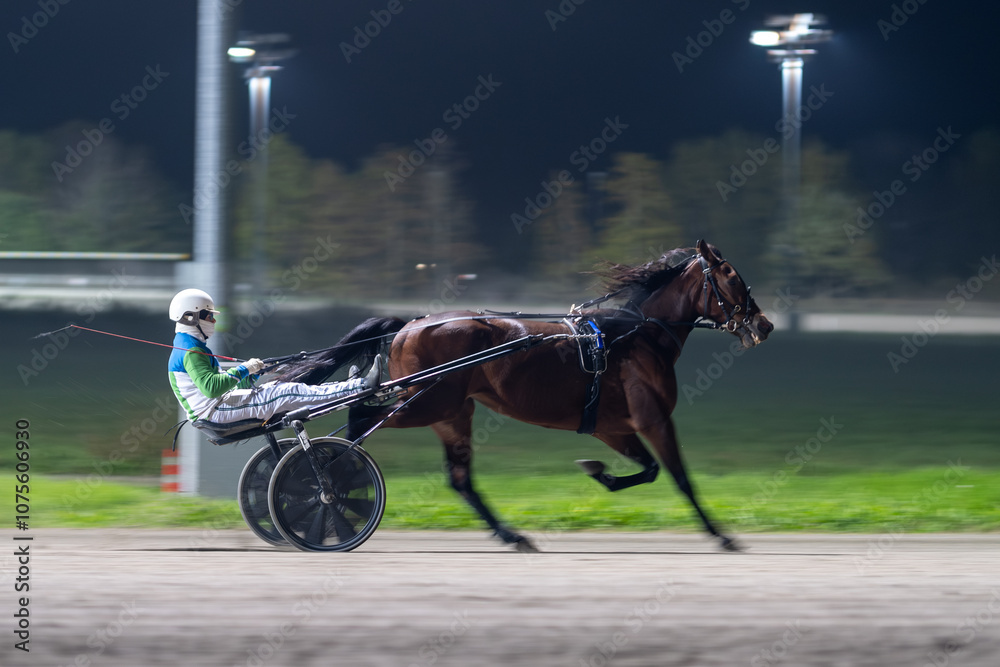 Racing horses trots and rider on a track of stadium. Competitions for trotting horse racing. Horses compete in harness racing. Horse runing at the track with rider.
Racing horses trots and rider on a track of stadium. Competitions for trotting horse racing. Horses compete in harness racing. Horse runing at the track with rider.