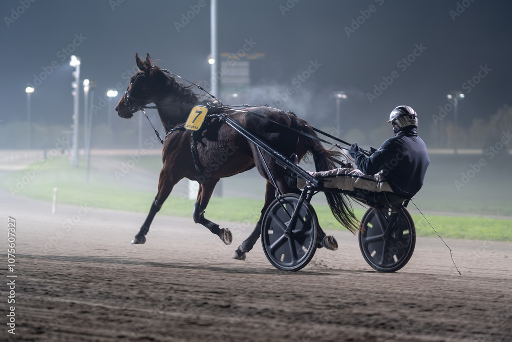 Racing horses trots and rider on a track of stadium. Competitions for trotting horse racing. Horses compete in harness racing. Horse runing at the track with rider.
Racing horses trots and rider on a track of stadium. Competitions for trotting horse racing. Horses compete in harness racing. Horse runing at the track with rider.