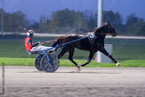 Racing horses trots and rider on a track of stadium. Competitions for trotting horse racing. Horses compete in harness racing. Horse runing at the track with rider.
 photo