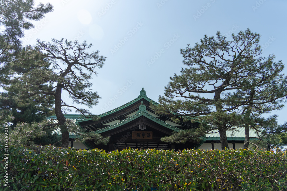 Traditional Japanese Temple Surrounded by Pine Trees Traditional Japanese Temple Surrounded by Pine Trees