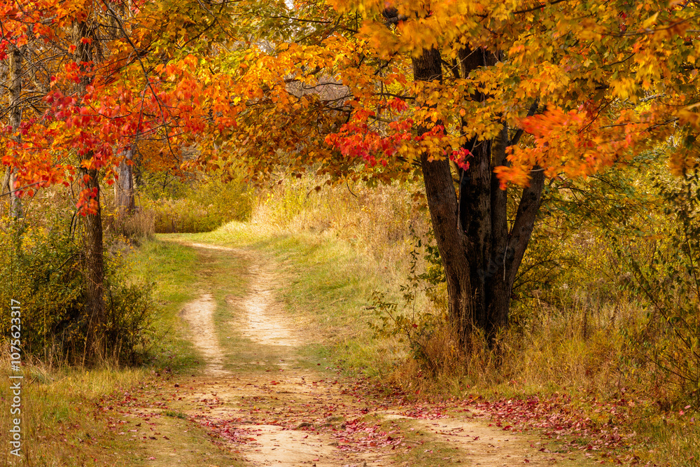 Hiking trail within Pike Lake Unit, Kettle Moraine State Forest, Hartford, Wisconsin as it winds beneath colorful maples in late October Hiking trail within Pike Lake Unit, Kettle Moraine State Forest, Hartford, Wisconsin as it winds beneath colorful maples in late October