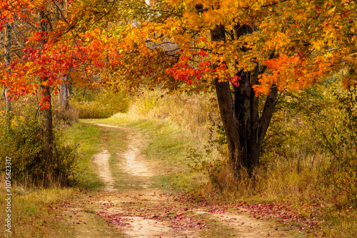 Hiking trail within Pike Lake Unit, Kettle Moraine State Forest, Hartford, Wisconsin as it winds beneath colorful maples in late October