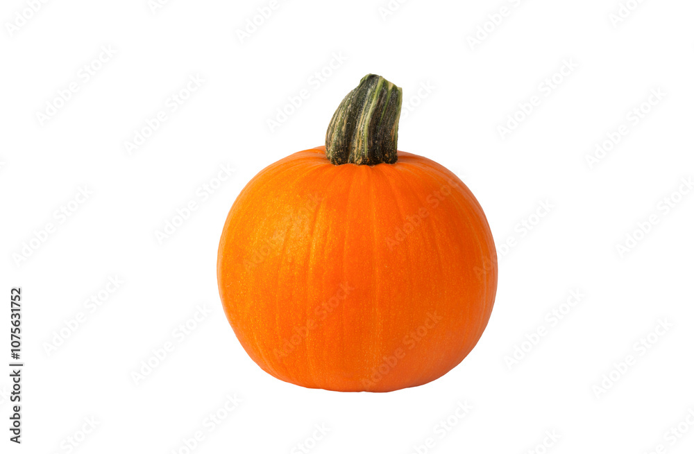 Orange pumpkin Jack O lantern with green stem decorative gourd isolated on white studio background Halloween or thanksgiving Holiday season decoration Orange pumpkin Jack O lantern with green stem decorative gourd isolated on white studio background Halloween or thanksgiving Holiday season decoration