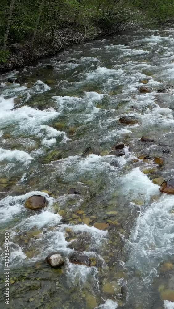 A clear, shallow river rushes over rocks, surrounded by green forest. British Columbia, Canada. A clear, shallow river rushes over rocks, surrounded by green forest. British Columbia, Canada.