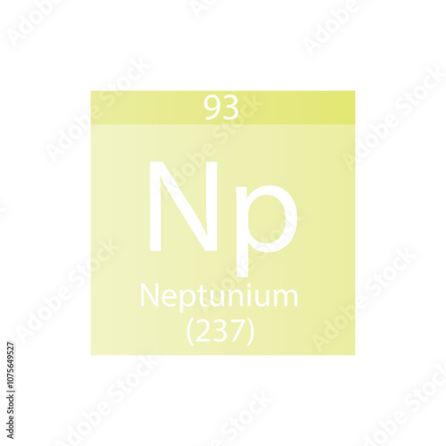Np Neptunium Actinoid Chemical Element Periodic Table. Simple flat square vector illustration, simple clean style Icon with molar mass and atomic number for Lab, science or chemistry class.