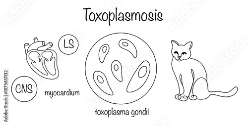 Toxoplasmosis