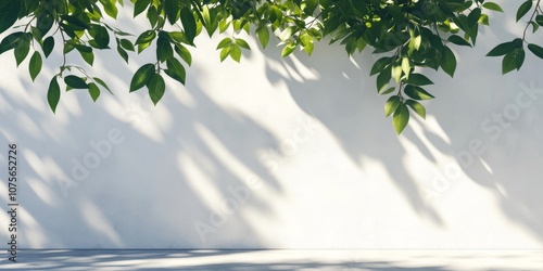 The buildings exterior presents a calm atmosphere, featuring serene shadows and vibrant green leaves set against a clean white wall, perfectly embodying the principles of minimalism and tranquility