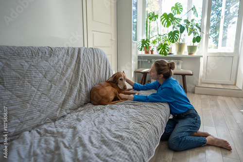 Caring woman spends quality relax time with beloved dog at home. Pleased female dog owner sits on floor, touching domestic canine lounging on couch. Calm harmony in friendly communication, pet therapy photo