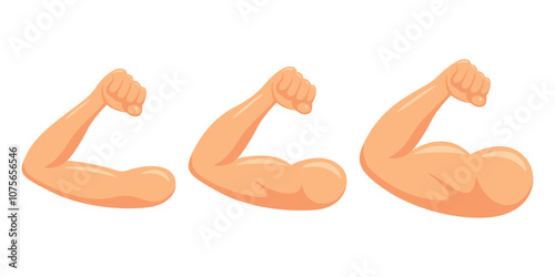 Muscle Growth Stages Vector Illustration. Cartoon Arm Progression From Slim to Muscular. Fitness Transformation Icon for Health, Gym, Workout Graphics. Strong Biceps, Muscle Growth, Bodybuilding