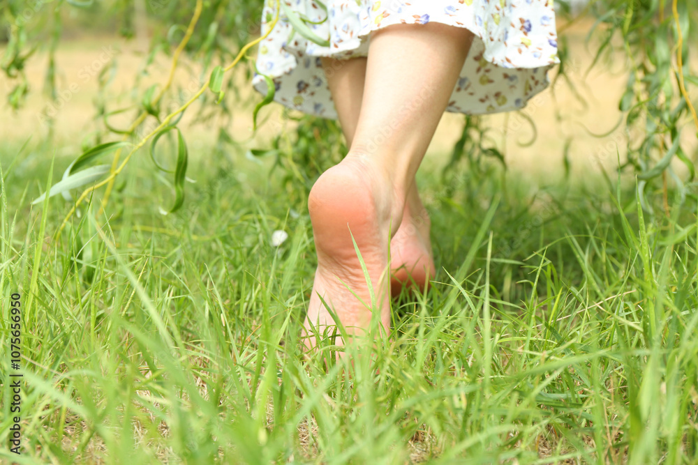 Woman walking barefoot on green grass outdoors, closeup Woman walking barefoot on green grass outdoors, closeup