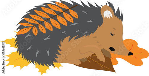 cartoon childish vector illustration of hedgehog sleeping in leaves isolated on white background