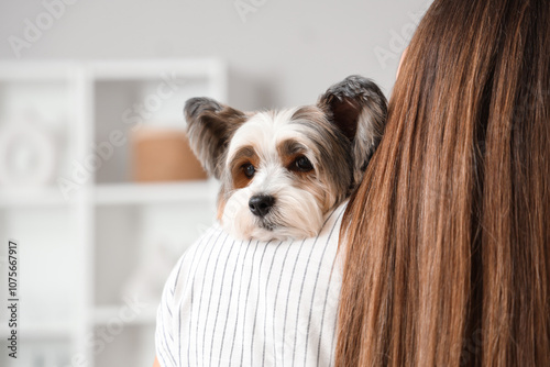 Young woman with her Biewer...