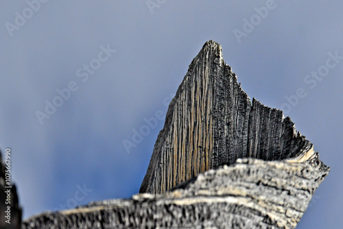 фотографія Dead tree stump bears a resemblance to summit of mountain, an example of an illu