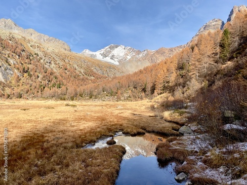 Panorama of Disgrazia mountain from Predarossa valley, Valtellina, Italy